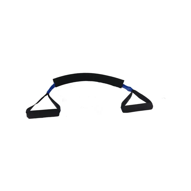 The blue, medium-resistance exerciser on its own