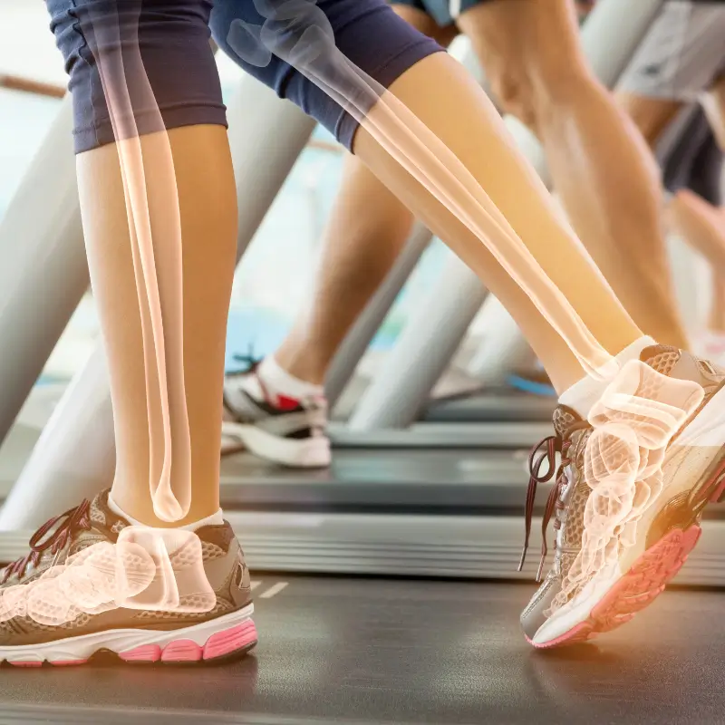 Chiropractor Melbourne – Ankle joint biomechanics during treadmill walking